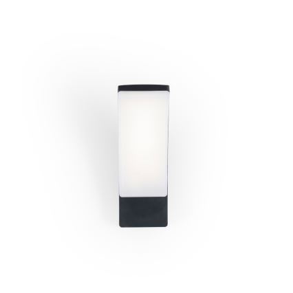 BRILAGI - LED Outdoor wall light ARCELO LED/12W/230V IP65 black