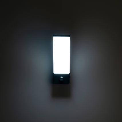BRILAGI - LED outdoor wall light with motion and dusk sensor ARCELO LED/12W/230V IP65 black