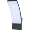 Brilagi - LED Outdoor wall light ARCELO LED/9W/230V IP44