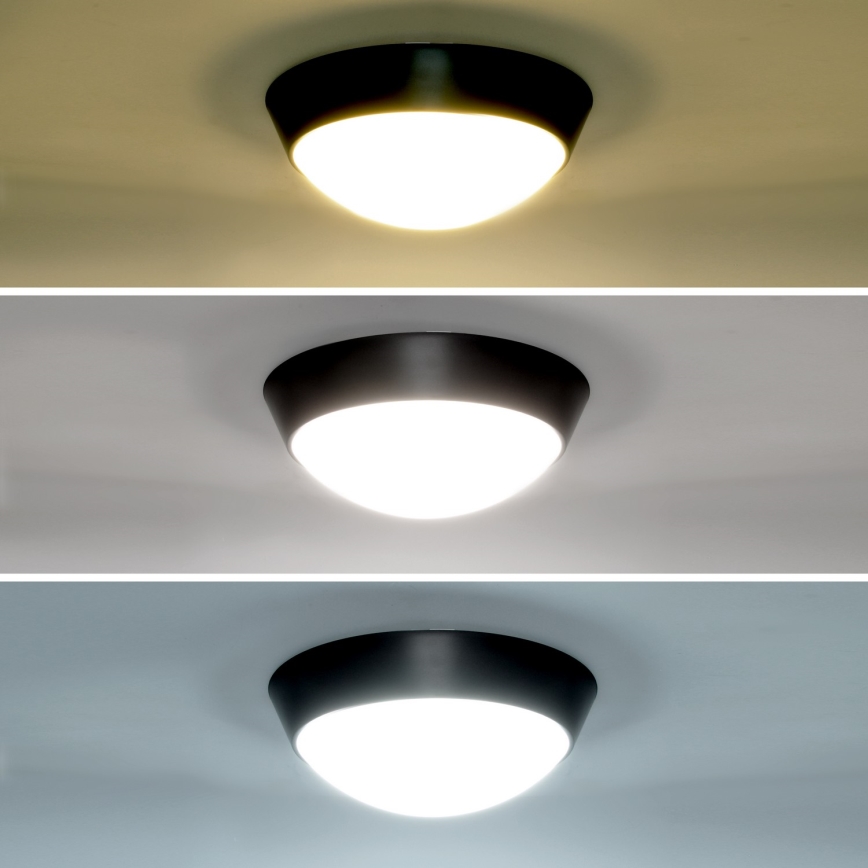 Brilagi - LED Outdoor wall light 2in1 BULKHEAD LED/20W/230V 3000/4000/6000K IP65