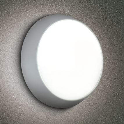 Brilagi - LED Outdoor wall light 2in1 BULKHEAD LED/20W/230V 3000/4000/6000K IP65