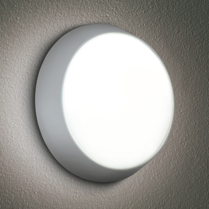 Brilagi - LED Outdoor wall light 2in1 BULKHEAD LED/20W/230V 3000/4000/6000K IP65