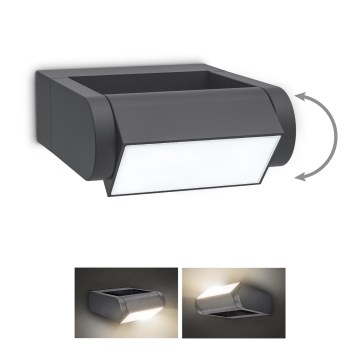 Brilagi - LED Outdoor wall light CROTONE LED/7W/230V anthracite IP54