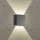 Brilagi - LED Outdoor Wall Light DOUBLERAY LED/4W/230V Anthracite IP65