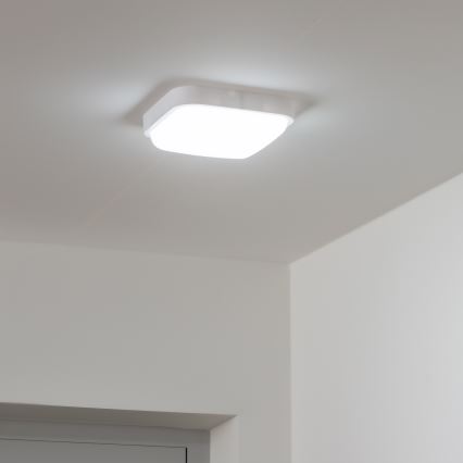 Brilagi - LED Outdoor wall light LED/20W/230V IP54