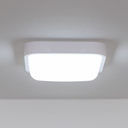 Brilagi - LED Outdoor wall light LED/20W/230V IP54