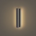 Brilagi - LED Outdoor Wall Light LINEAR LED/8W/230V 3000K IP65 30 cm Anthracite