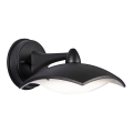 BRILAGI - LED Outdoor wall light LUNA LED/8W/230V IP44