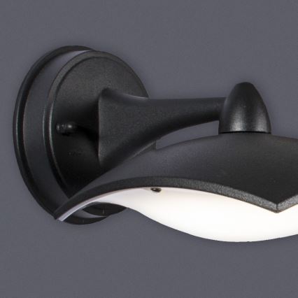 Brilagi - LED Outdoor wall light LUNA LED/8W/230V IP44