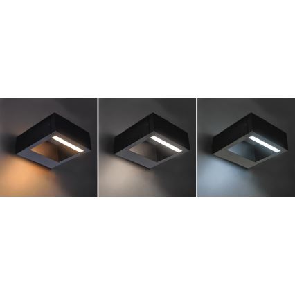 Brilagi - LED Outdoor wall light RAGUSA LED/7W/230V 3000/4000/6000K IP54