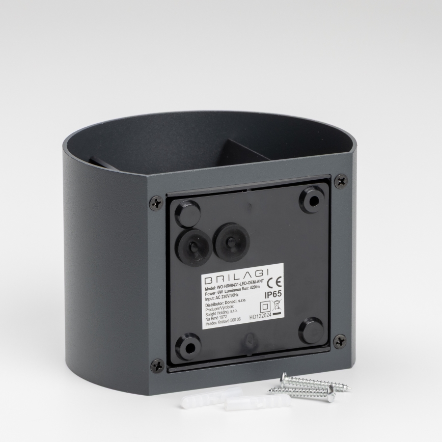 Brilagi - LED Outdoor wall light RONDO LED/6W/230V anthracite IP54