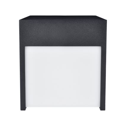 Brilagi - LED Outdoor wall light TERNI LED/12W/230V black IP44