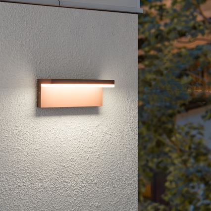 Brilagi - LED Outdoor Wall Light TESSI LED/10W/230V Brown IP54