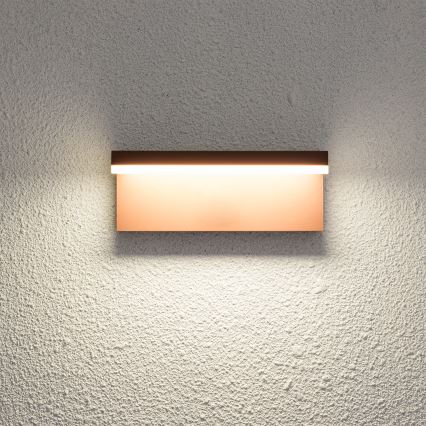 Brilagi - LED Outdoor Wall Light TESSI LED/10W/230V Brown IP54