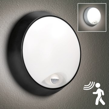 Brilagi - LED Outdoor wall light with a sensor 2in1 BULKHEAD LED/20W/230V IP65