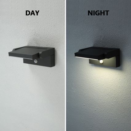 Brilagi - LED Outdoor wall light with a sensor ANKLE LED/12,5W/230V IP54