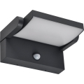 Brilagi - LED Outdoor wall light with a sensor ANKLE LED/18W/230V 4000K IP65 anthracite