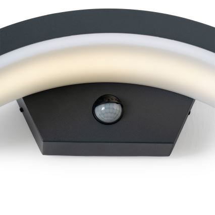 Brilagi - LED Outdoor wall light with a sensor ARCELO LED/8W/230V IP54