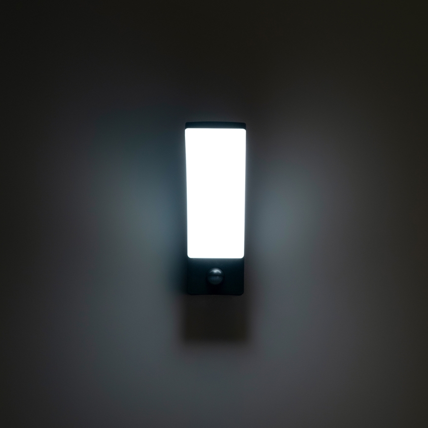 Brilagi - LED Outdoor wall light with a sensor ARCELO LED/9W/230V IP44