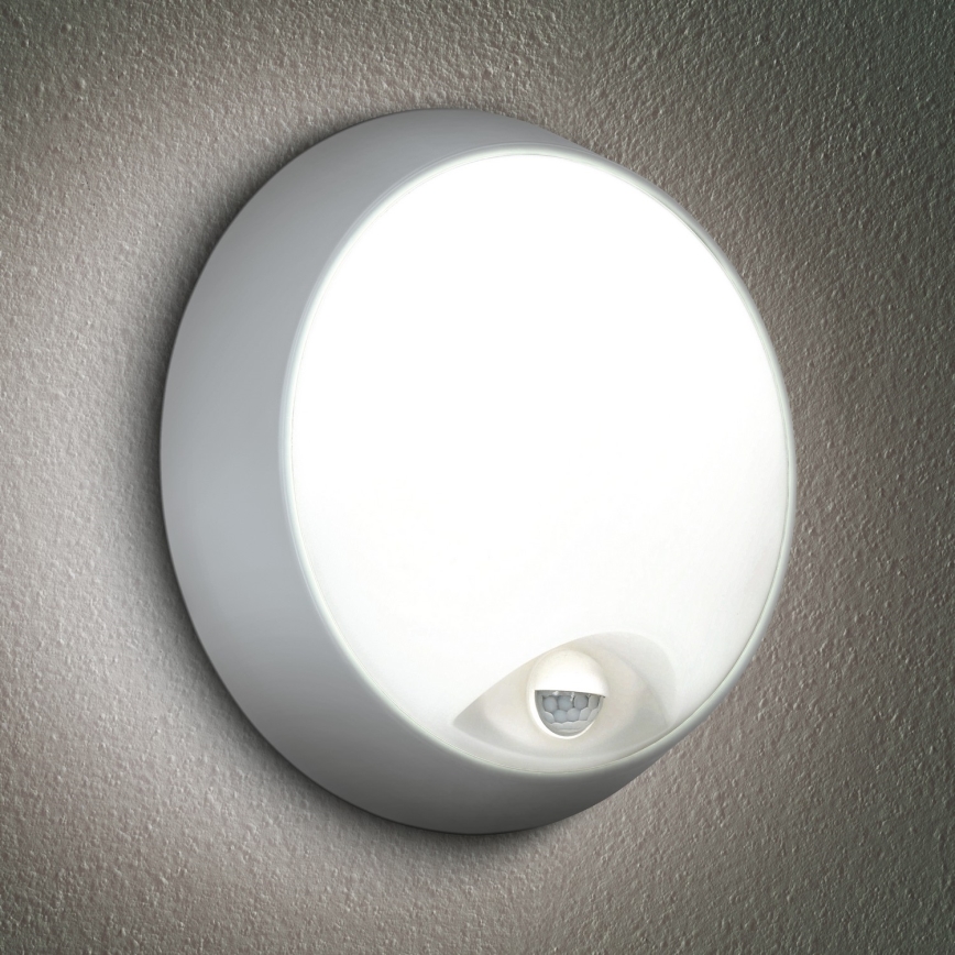 Brilagi - LED Outdoor wall light with a sensor 2in1 BULKHEAD LED/20W/230V IP65