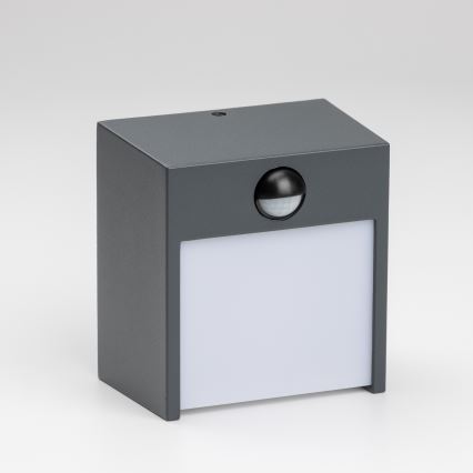 Brilagi - LED Outdoor wall light with a sensor TERNI LED/12W/230V anthracite IP44
