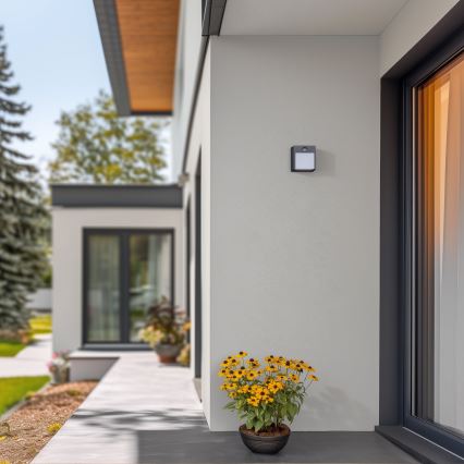 Brilagi - LED Outdoor wall light with a sensor TERNI LED/12W/230V anthracite IP44