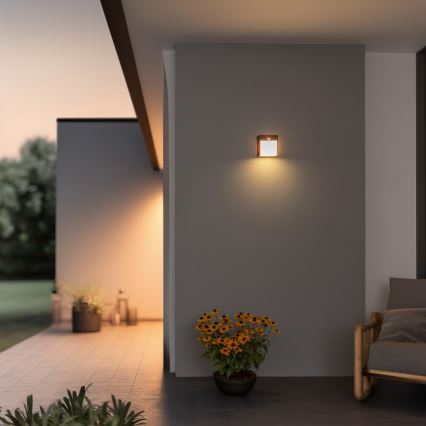 Brilagi - LED Outdoor wall light with a sensor TERNI LED/12W/230V anthracite IP44