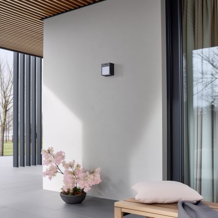Brilagi - LED Outdoor wall light with a sensor TERNI LED/12W/230V anthracite IP44