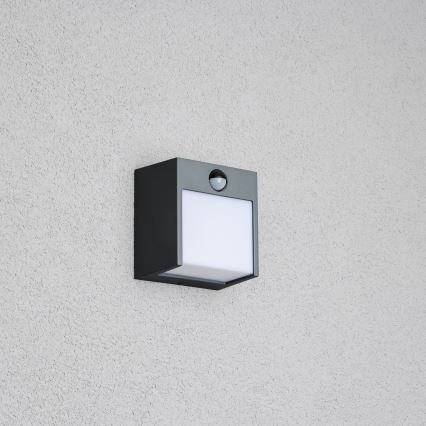 Brilagi - LED Outdoor wall light with a sensor TERNI LED/12W/230V anthracite IP44