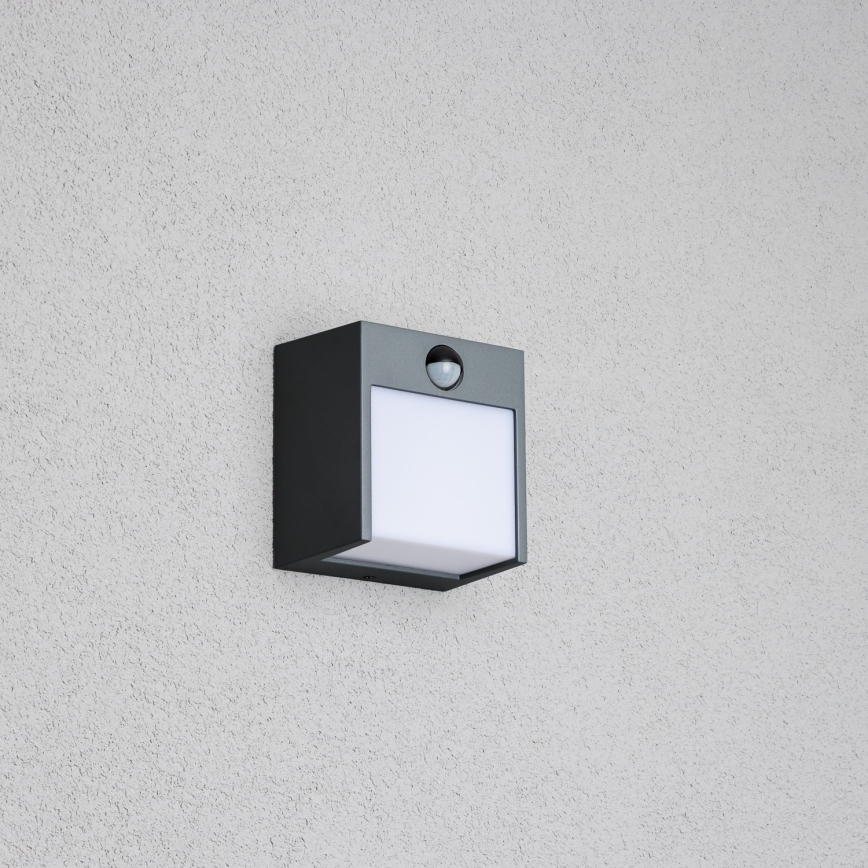 Brilagi - LED Outdoor wall light with a sensor TERNI LED/12W/230V anthracite IP44