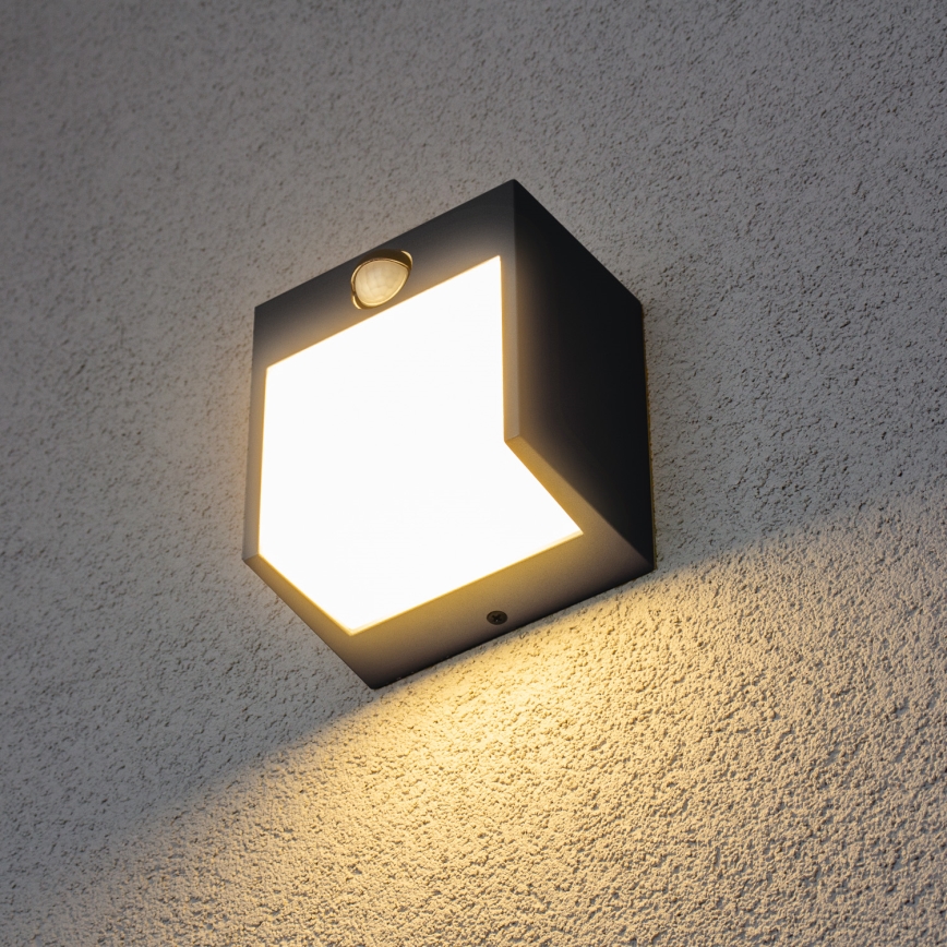 Brilagi - LED Outdoor wall light with a sensor TERNI LED/12W/230V anthracite IP44