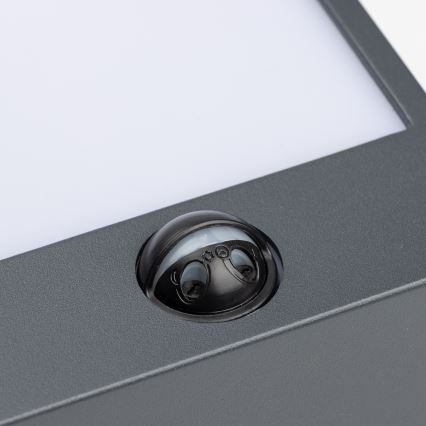 Brilagi - LED Outdoor wall light with a sensor TERNI LED/12W/230V anthracite IP44