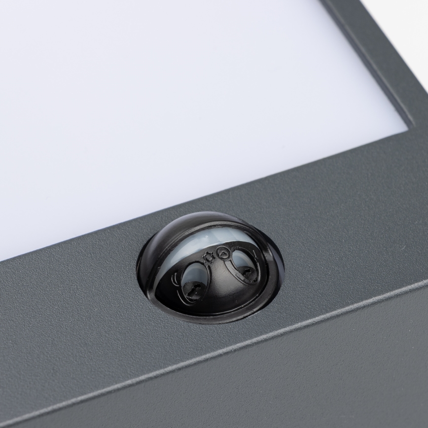 Brilagi - LED Outdoor wall light with a sensor TERNI LED/12W/230V anthracite IP44
