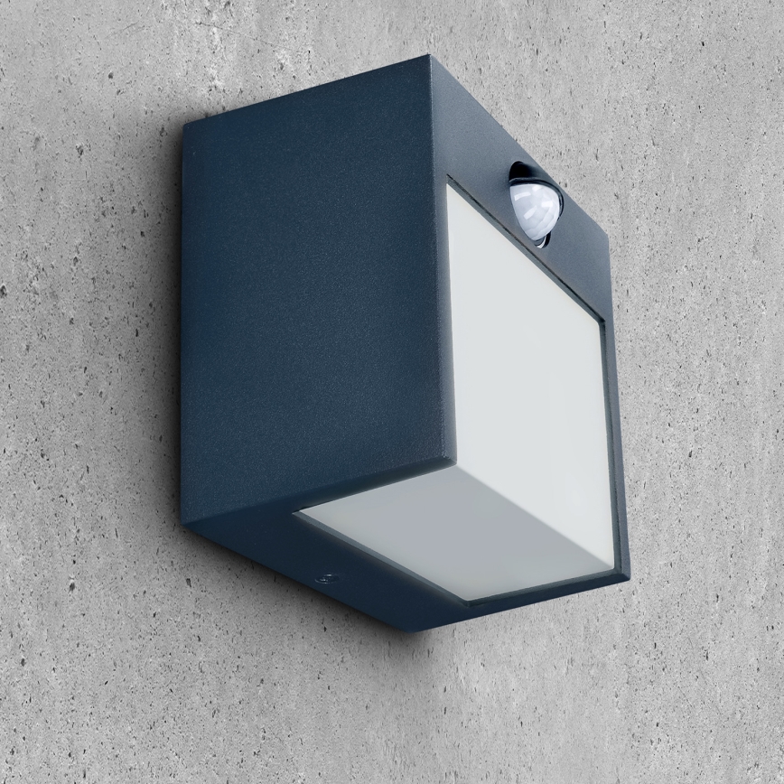Brilagi - LED Outdoor wall light with a sensor TERNI LED/12W/230V anthracite IP44