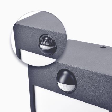 Brilagi - LED Outdoor wall light with a sensor TERNI LED/12W/230V anthracite IP44