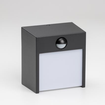 Brilagi - LED Outdoor wall light with a sensor TERNI LED/12W/230V black IP44