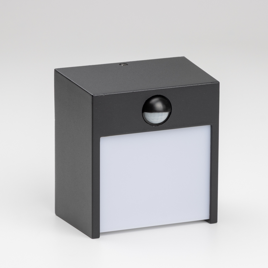 Brilagi - LED Outdoor wall light with a sensor TERNI LED/12W/230V black IP44