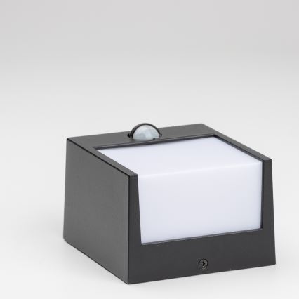 Brilagi - LED Outdoor wall light with a sensor TERNI LED/12W/230V black IP44