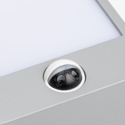 Brilagi - LED Outdoor wall light with a sensor TERNI LED/12W/230V grey IP44