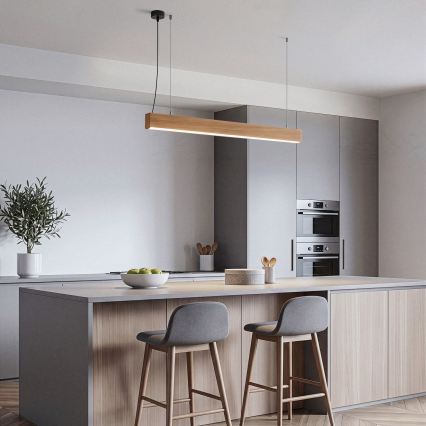 BRILAGI - LED pendant lamp on cable GARDALINE LED/100W/230V oak