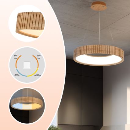 Brilagi - FALCON WOOD MODERN LED Cable-Hung Pendant, 30W, 230V, 3000/4000/6000K, Ø45 cm, Wood