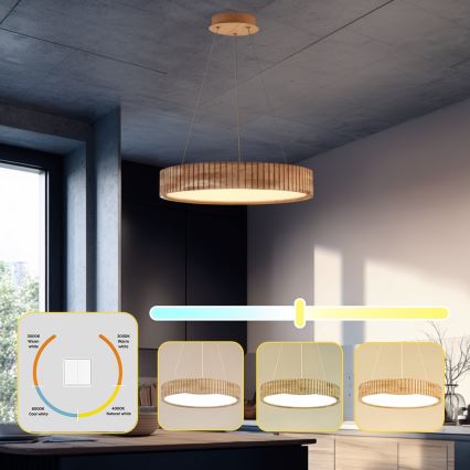 Brilagi - FALCON WOOD MODERN LED Cable-Hung Pendant, 30W, 230V, 3000/4000/6000K, Ø45 cm, Wood
