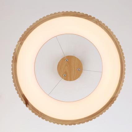 Brilagi - FALCON WOOD MODERN LED Cable-Hung Pendant, 30W, 230V, 3000/4000/6000K, Ø45 cm, Wood