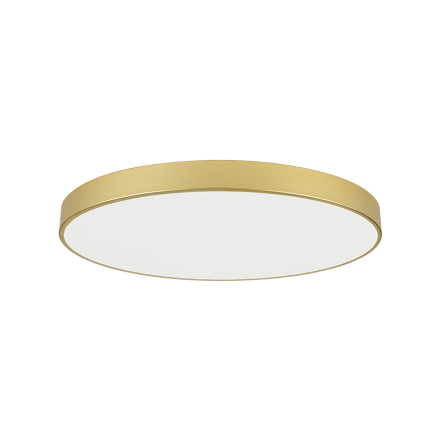 Brilagi - LED Ceiling Light POOL LED/128W/230V 3000/4000/6000K Ø 100 cm gold