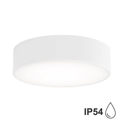 BRILAGI - CLARE LED RGBW Dimmable Bathroom Ceiling Light 2x E27 / 12W / 230V 2700–6500K Ø 30 cm IP54 Wi‑Fi White
