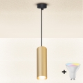 Brilagi - LED RGBW Dimmable cable-suspended pendant SELE 1xGU10/6W/230V 3000K black/gold + remote control