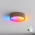 BRILAGI - LED RGBW Dimmable ceiling light CLARE 1xE27/12W/230V Ø 20 cm brown