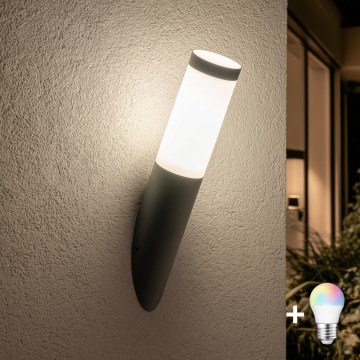 BRILAGI - LED RGBW Dimmable Outdoor Wall Lamp ELIA 1xE27/6,5W/230V 2700-6500K IP44 Wi-Fi Anthracite