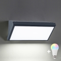 Brilagi - LED RGBW Dimmable Outdoor Wall Light TRIANGLE 1xE27/9W/230V 2700-6500K IP65 Anthracite