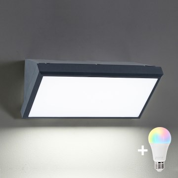 Brilagi - LED RGBW Dimmable Outdoor Wall Light TRIANGLE 1xE27/9W/230V 2700-6500K IP65 Anthracite